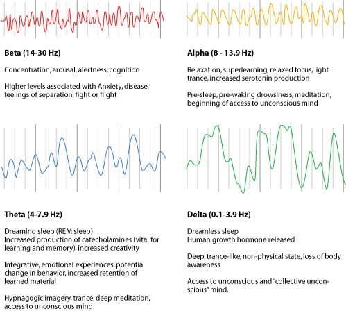 brainwavechart